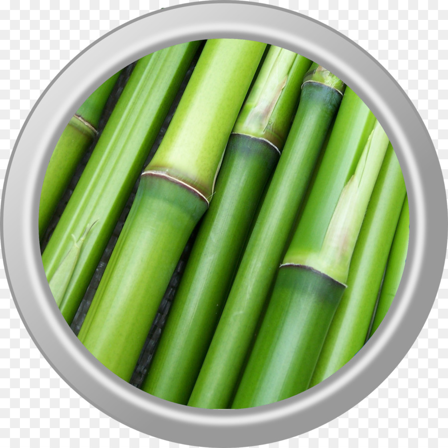 Bambu，Plantas PNG