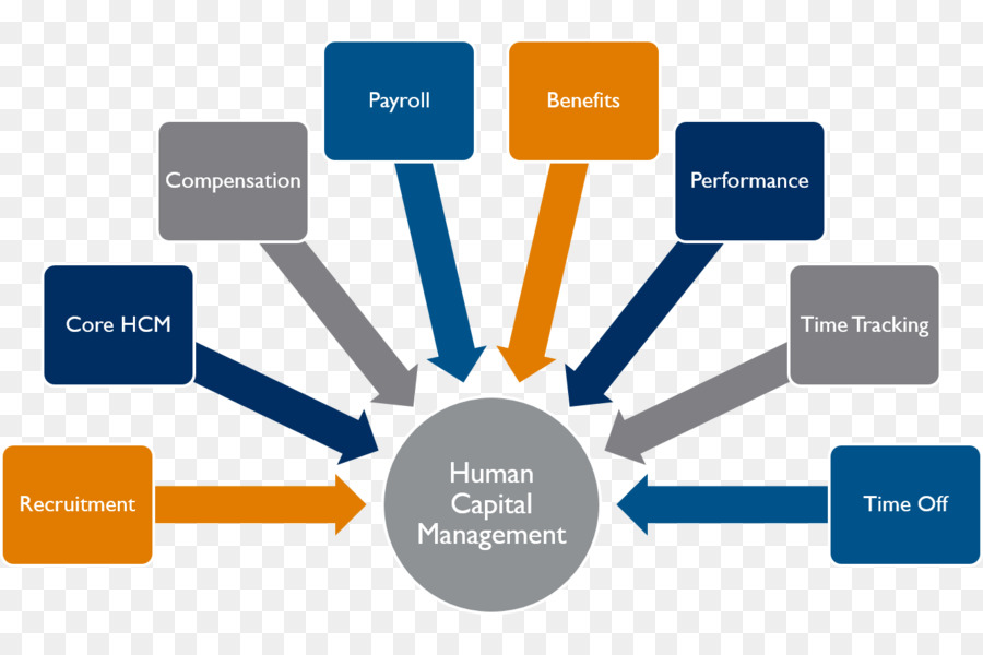 Gestão De Recursos Humanos，Human Resource PNG