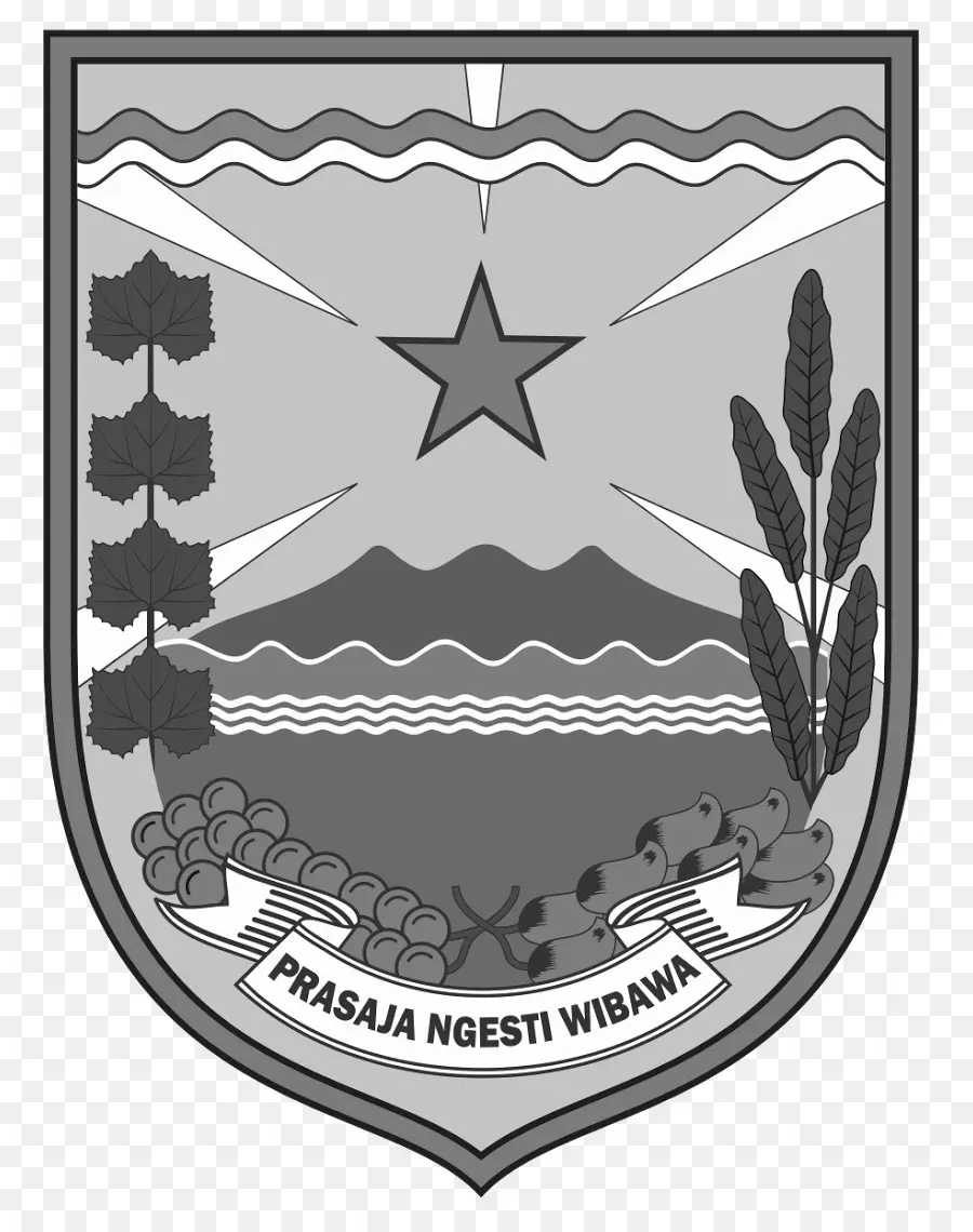 Brasão，Escudo PNG