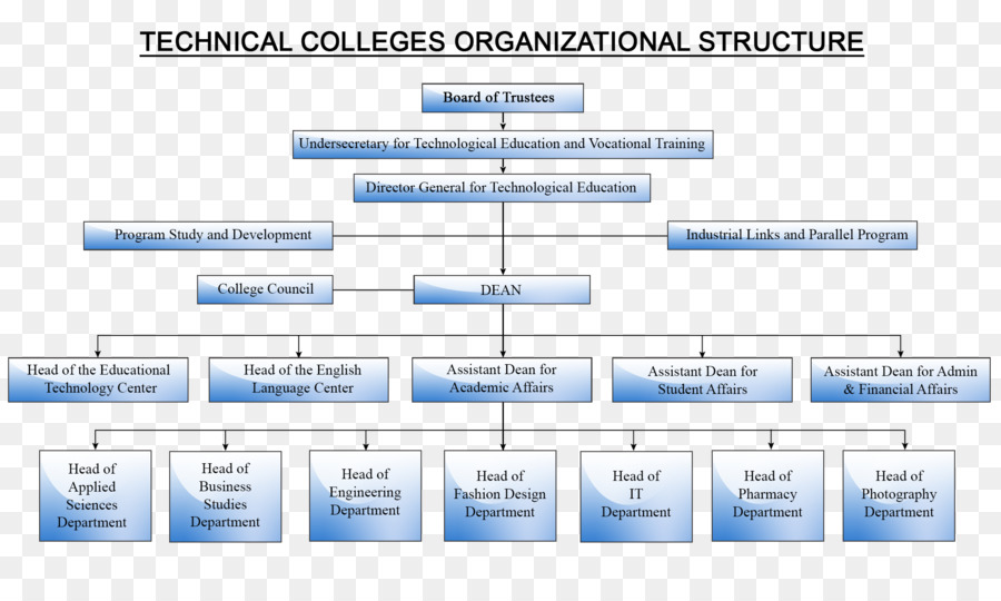 Estrutura Organizacional，Gráfico PNG