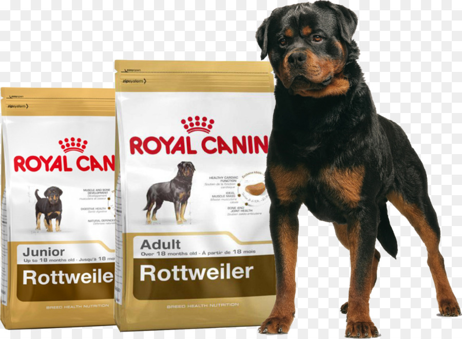 Rottweiler，Raça Do Cão PNG