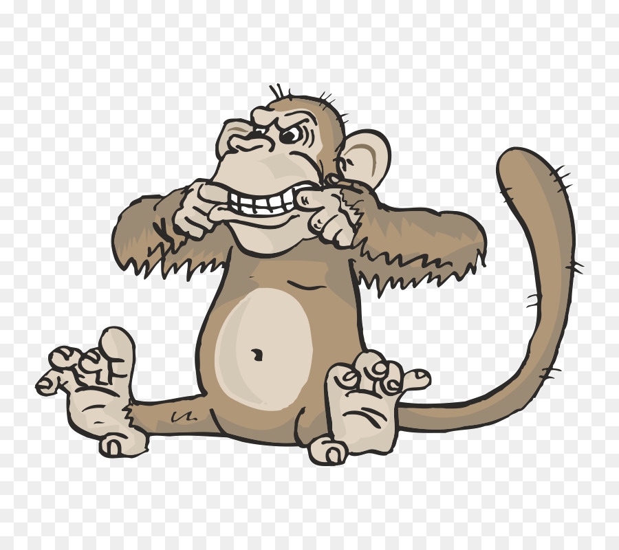 Macaco，Primata PNG