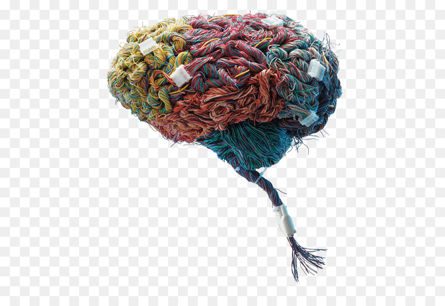 Neurologia，Neurociência PNG