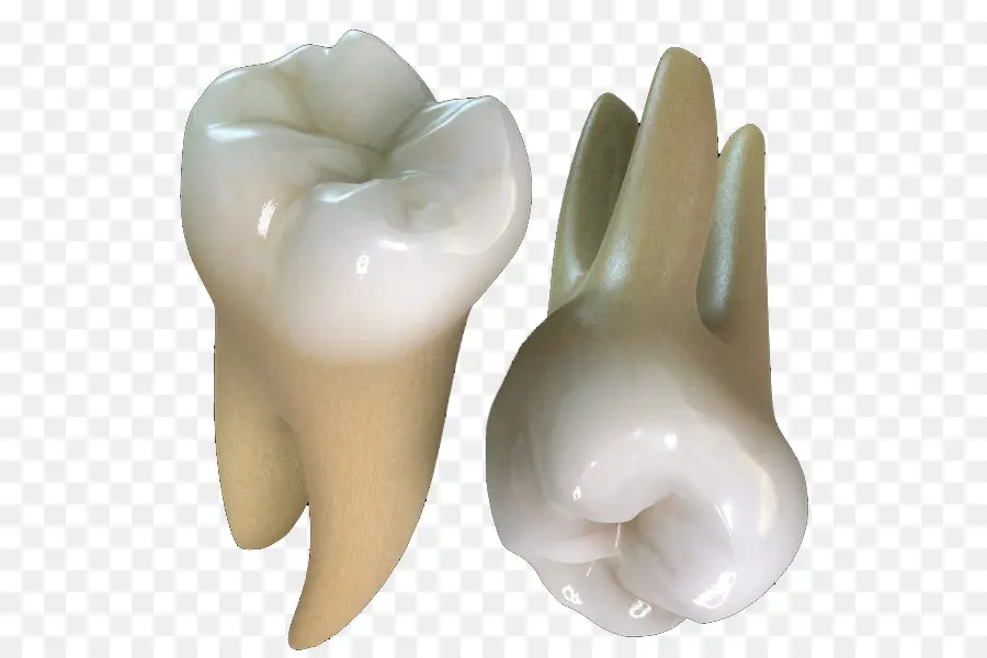 Dentes，Dental PNG