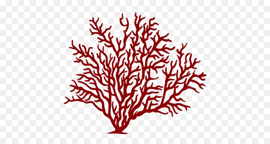 Coral，Vermelho PNG