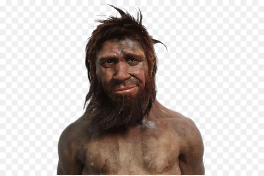 Neandertal，Homem Das Cavernas PNG