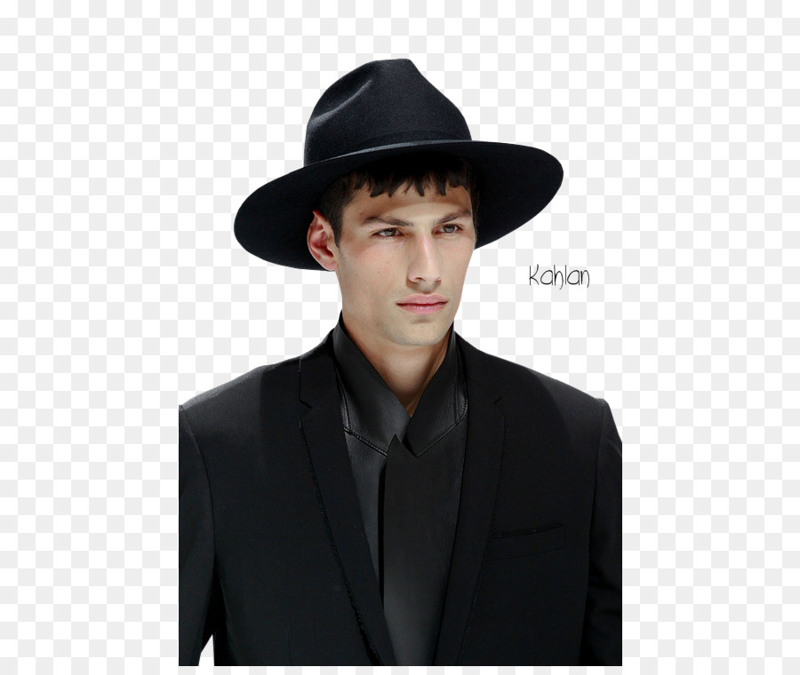 Fedora，Educação PNG