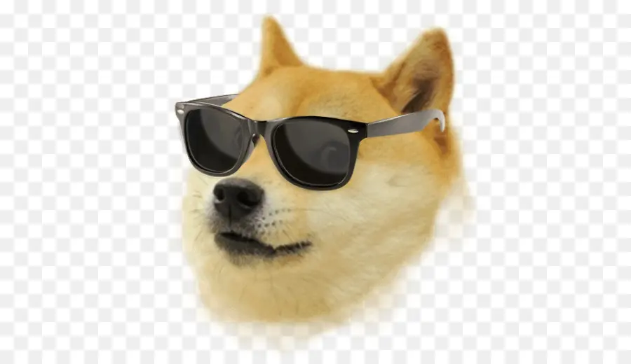 Doge，Doge Tempo PNG