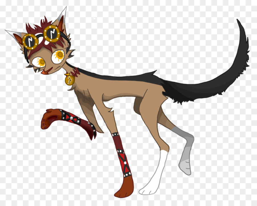 Gato，Cavalo PNG