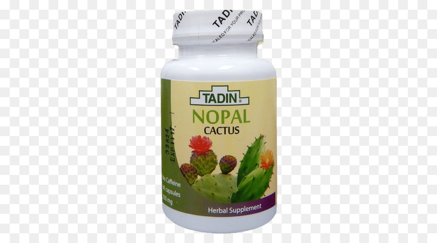 Chá，O Nopal PNG