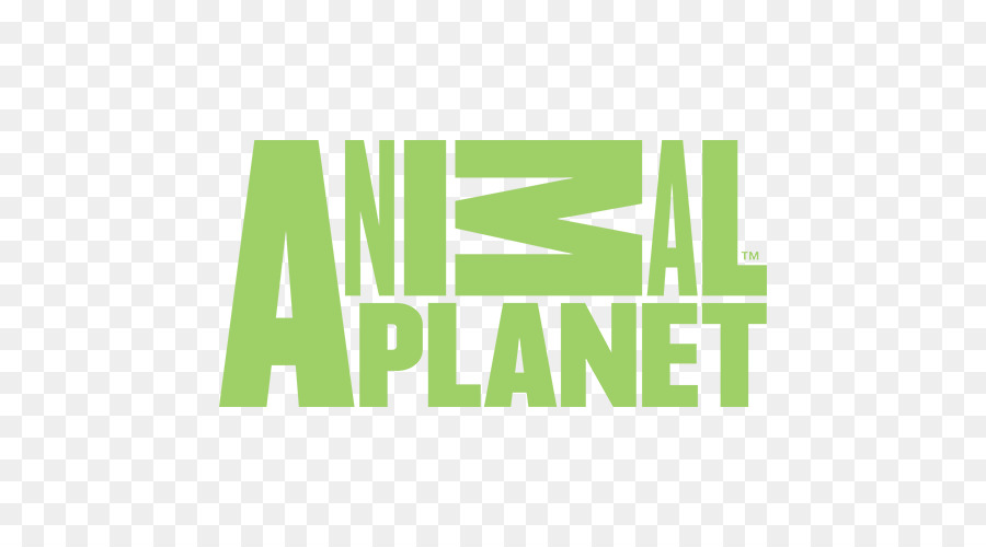 Animal Planet，Logo PNG