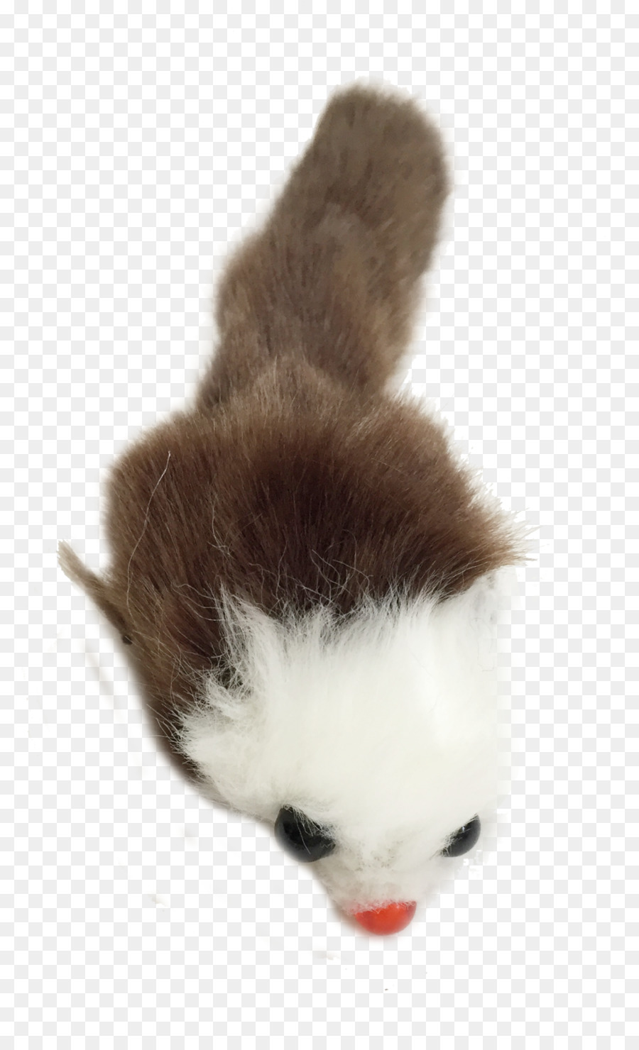 Bigodes，Gatinho PNG