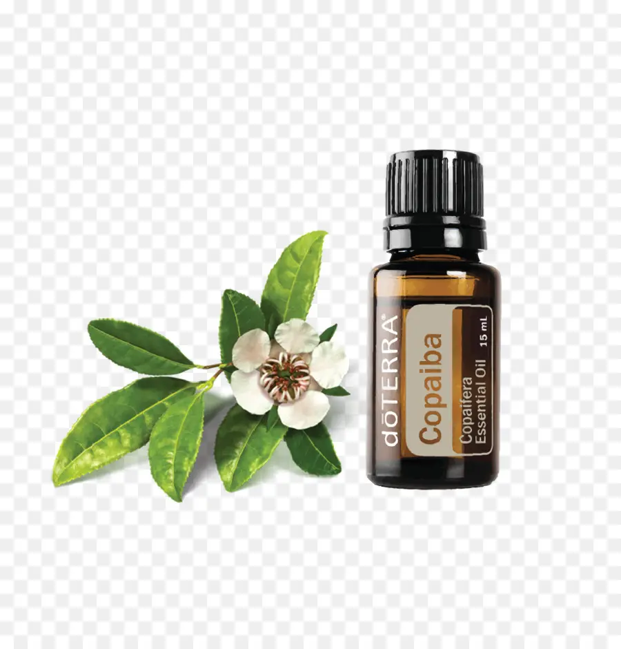 Óleo De Copaíba Doterra，Óleo Essencial PNG