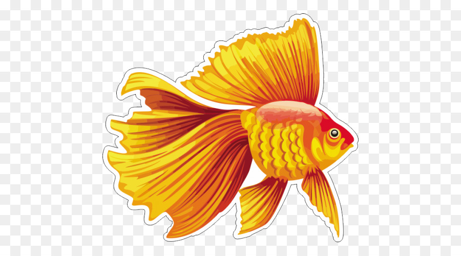 Peixe Dourado，Aquário PNG