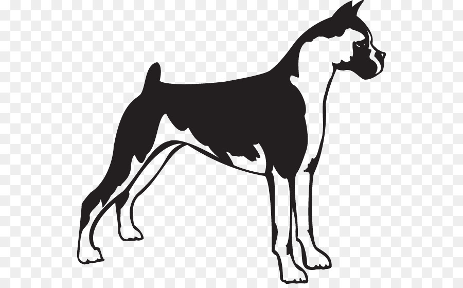 Boxer，Bull Terrier PNG