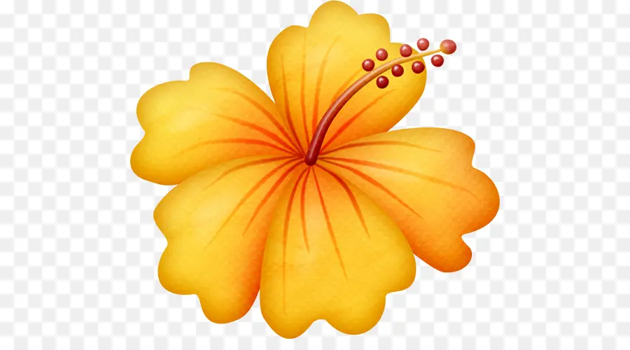 Havaí，Flor PNG