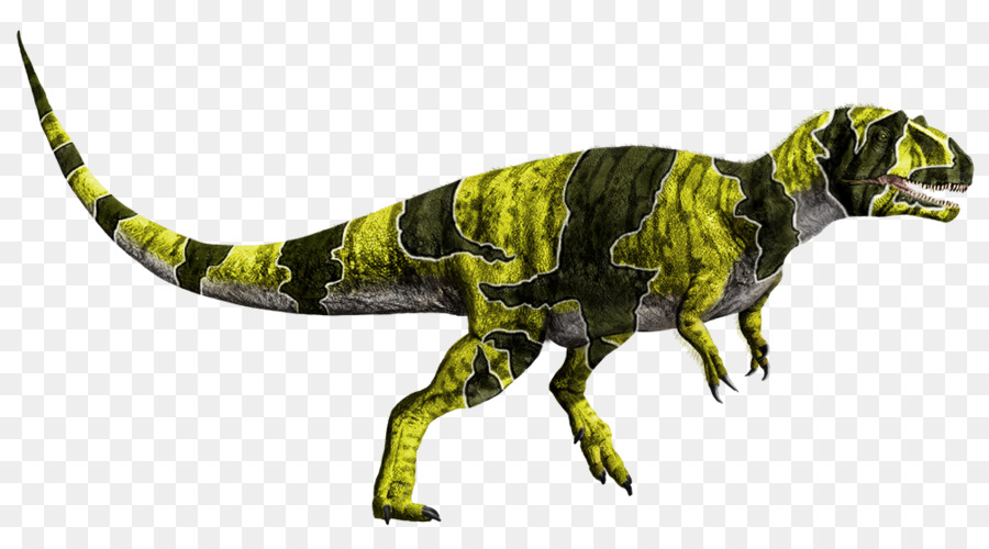 Tiranossauro，Metriacanthosaurus PNG