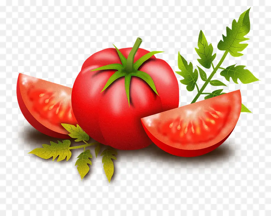 Tomate，Pizza PNG