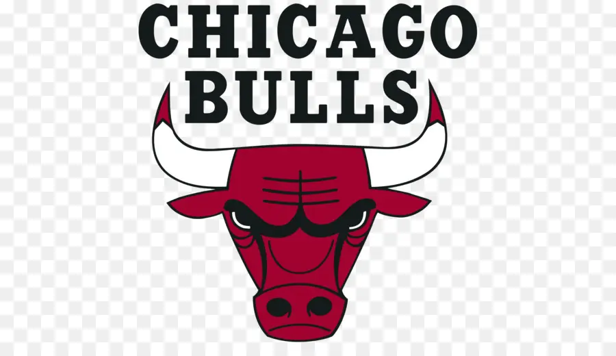 Touros De Chicago，Basquetebol PNG