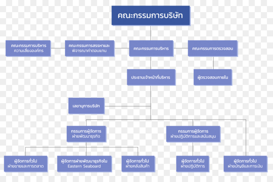 Organização，Wice Logística PNG