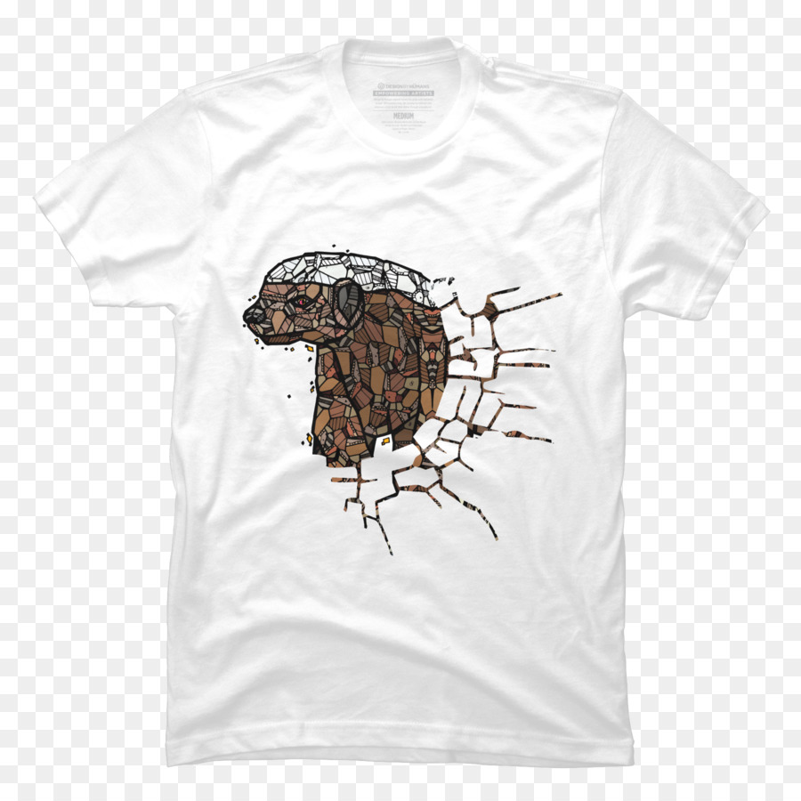 Tshirt，Tartaruga PNG
