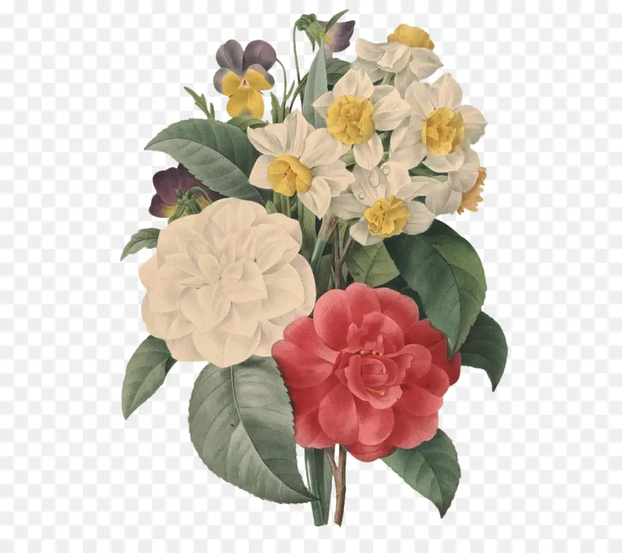 Flores，Choix Des Plus Belles Fleurs PNG