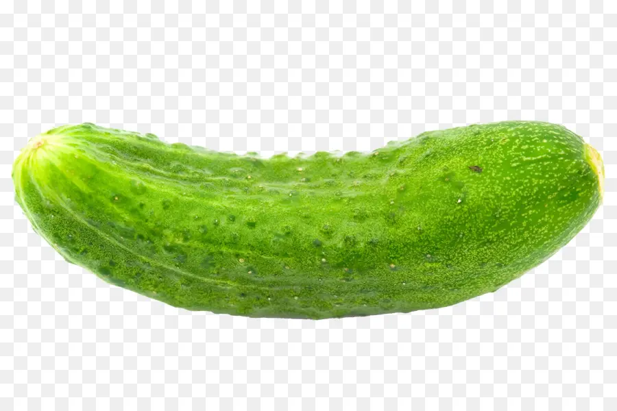 Pepino，Vegetal PNG