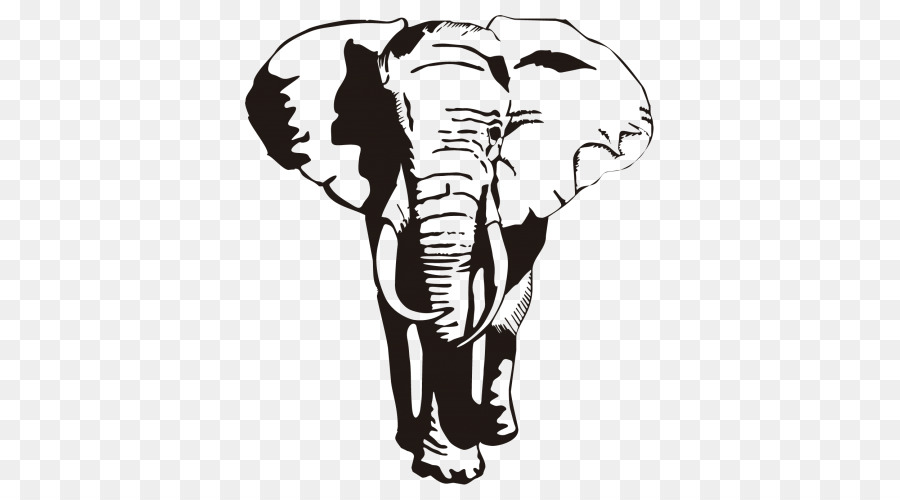 Elefante，Contorno PNG