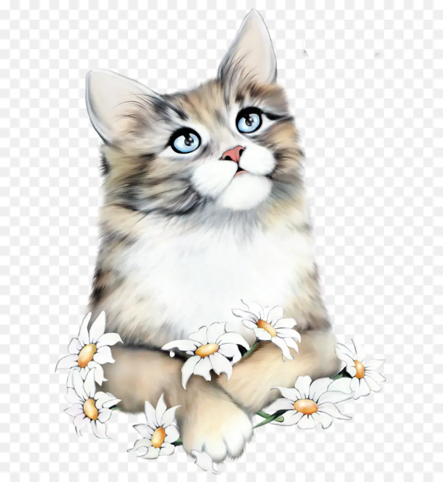 Gato，Gatinho PNG