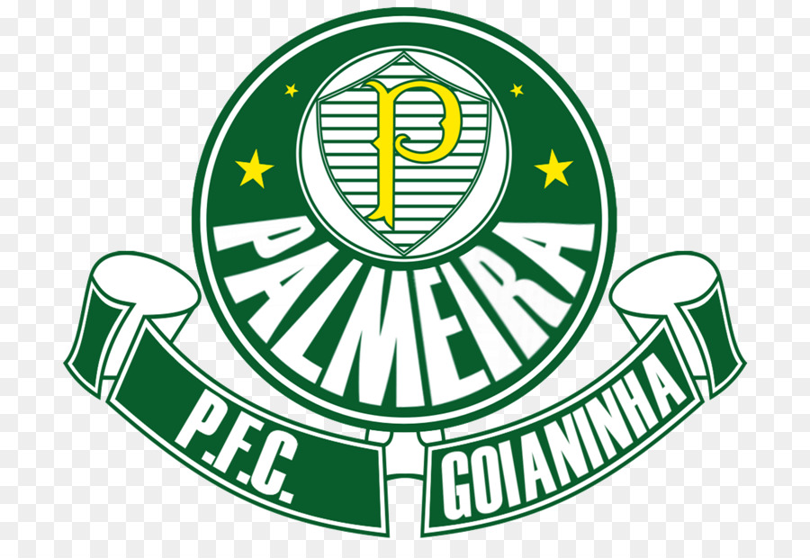 Sociedade Esportiva Palmeiras，Futebol PNG