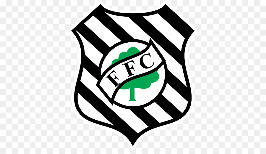 Figueirense Fc，Campeonato Brasileiro De Futebol PNG