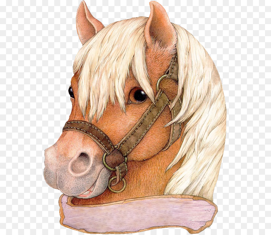 Cavalo, Mane, Máscara De Cabeça De Cavalo png transparente grátis