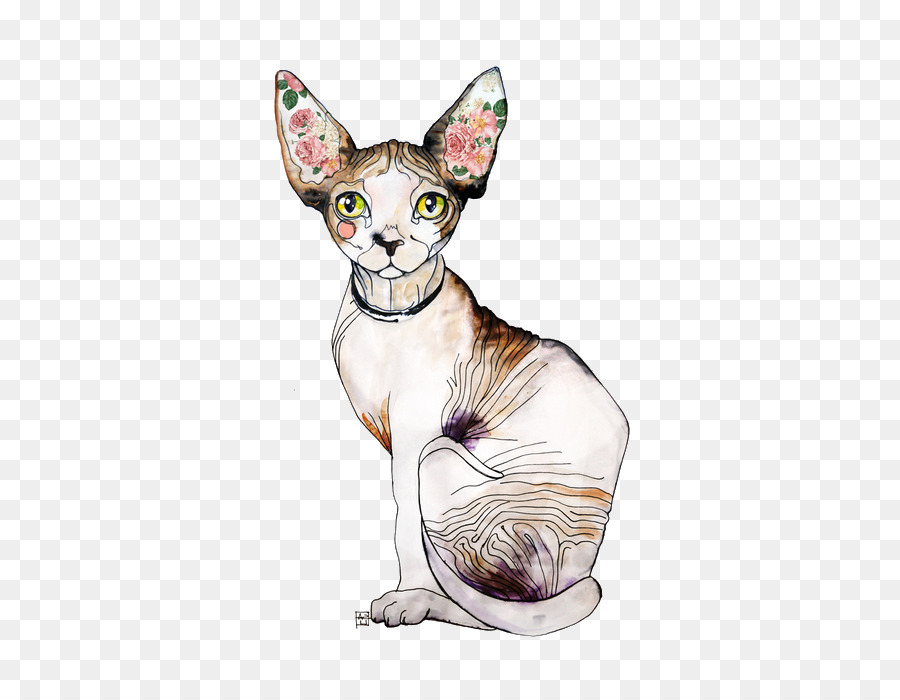 Gato Sphynx，Donskoy PNG