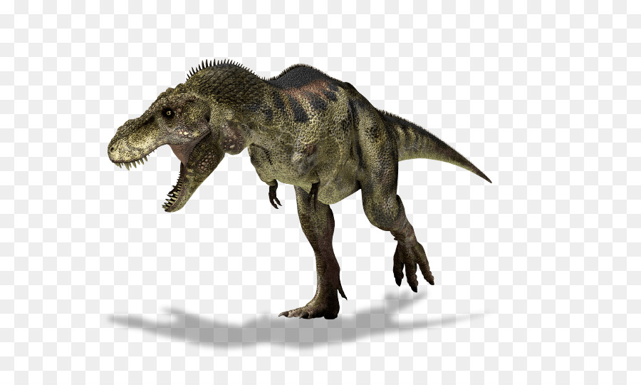 Tiranossauro，Albertosaurus PNG