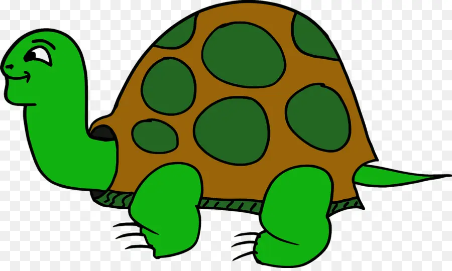 Tartaruga，Turtle PNG