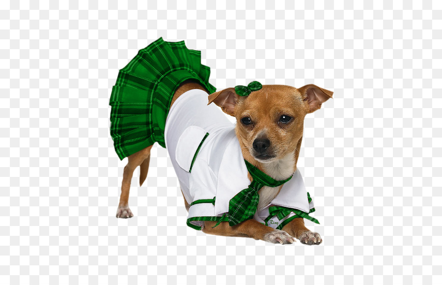 Filhote De Cachorro，Chihuahua PNG