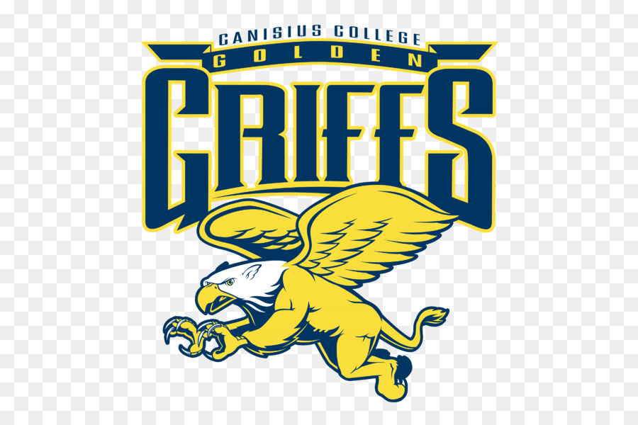 Canisius College，Canisius De Ouro Grifos Basquete Feminino PNG