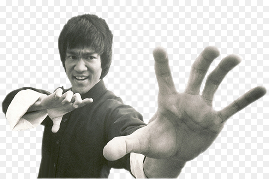 Bruce Lee，Bruce Lee Artista Da Vida PNG