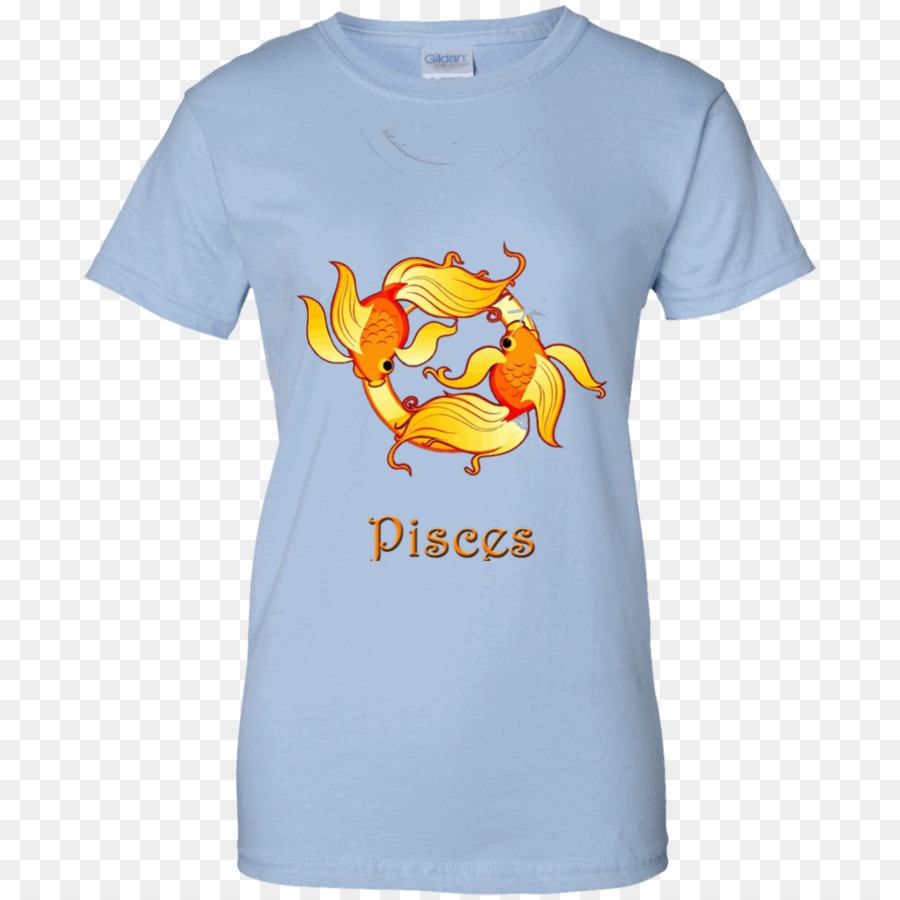 Tshirt，Capuz PNG