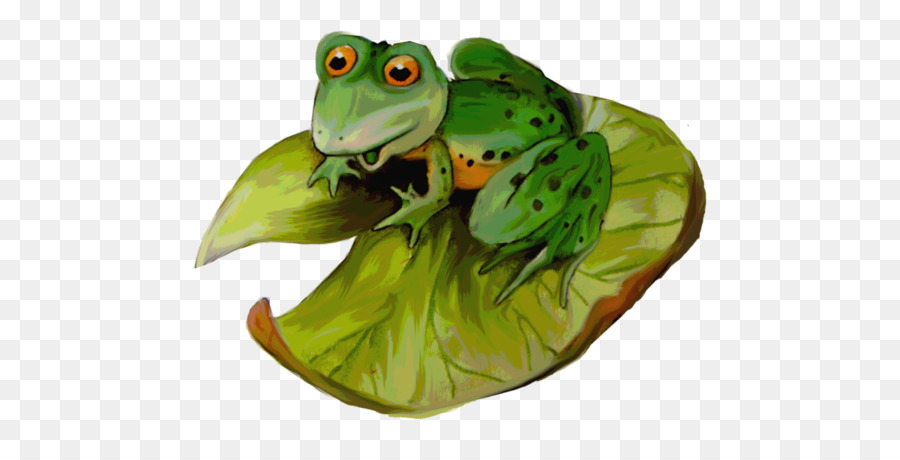 Sapo，Verde PNG