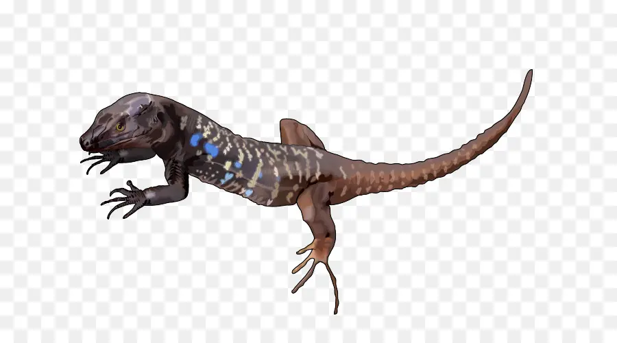 Lagarto，Cauda PNG