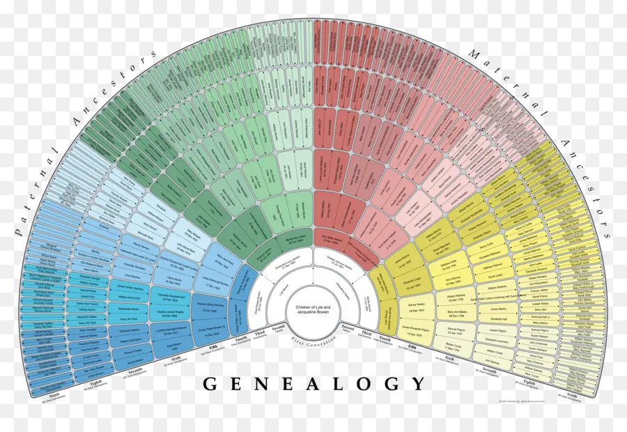 Genealogia，árvore Genealógica PNG
