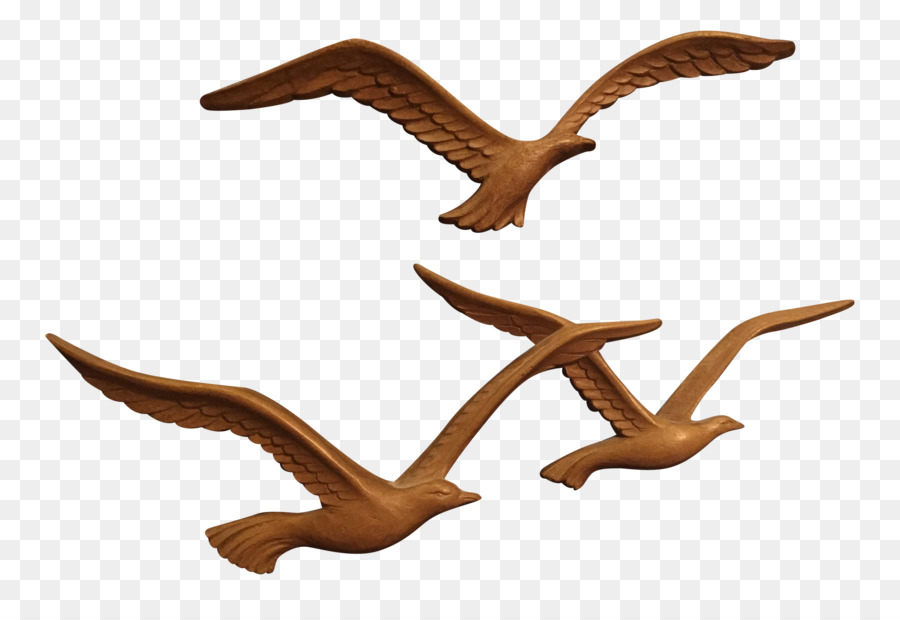 Gaivotas，Aves PNG