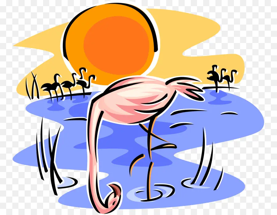 Flamingo Rosa，Água PNG