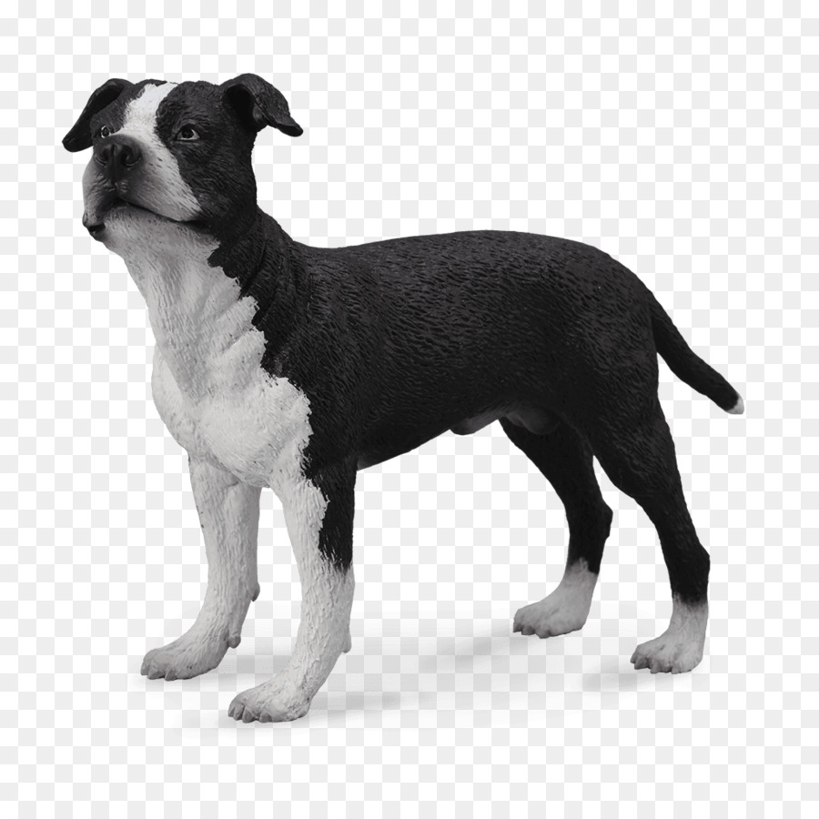 American Staffordshire Terrier，Staffordshire Bull Terrier PNG