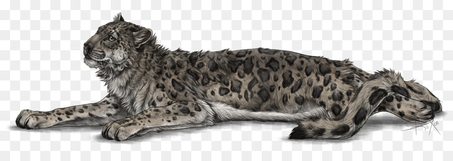 Gato，Leopard PNG