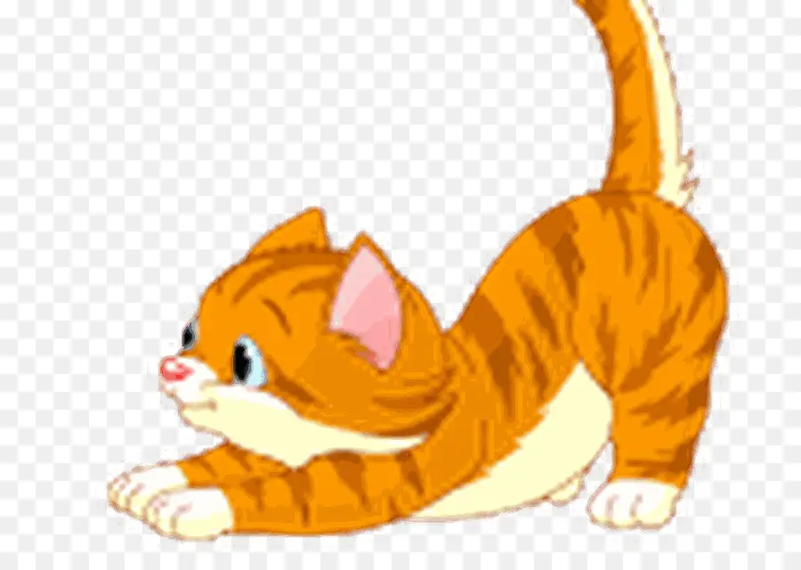 Gato，Gatinho PNG