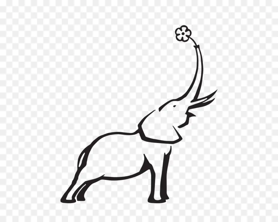 Elefantes，Desenho PNG