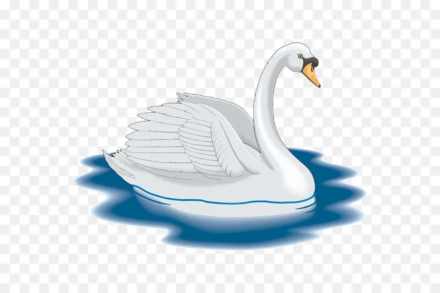 Cisne，Pássaro PNG