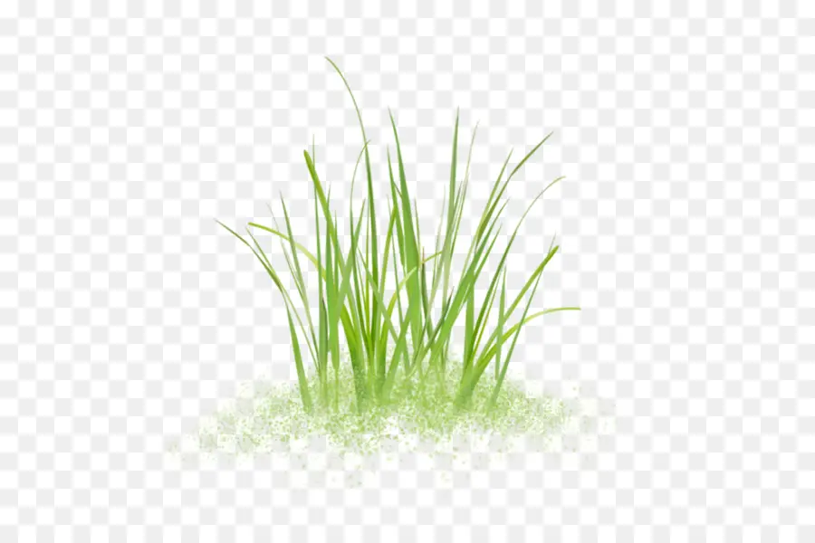Sweet Grass，Vetiver PNG